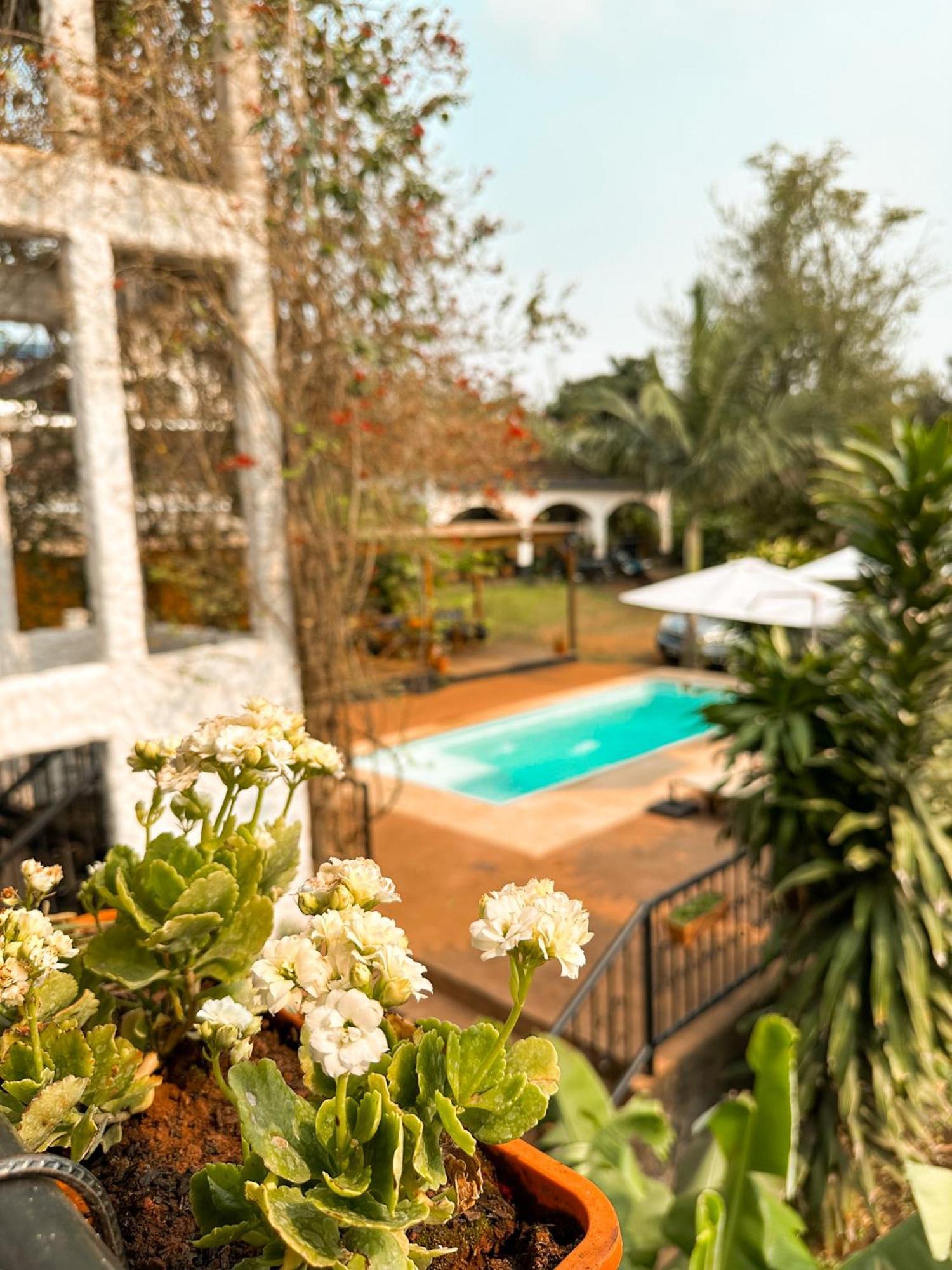 Mediterraneo Suites Puerto Iguazu Exterior photo